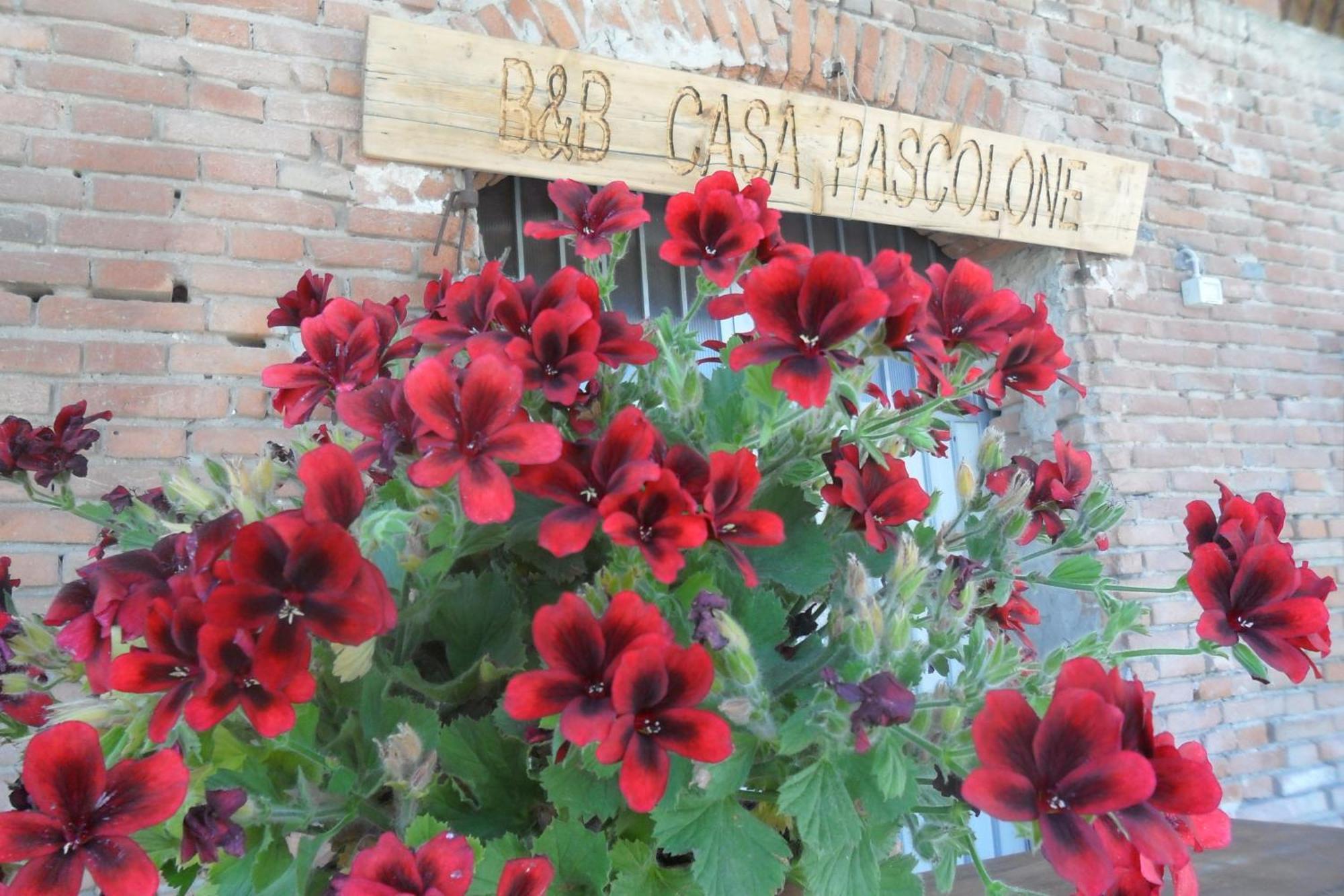 Frühstückspension Casa Pascolone
